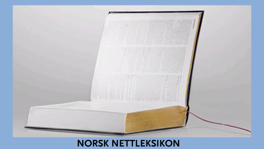 Norsk nettleksikon i støpeskjeen