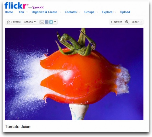 Faksimile fra Flickr som viser et fotografi av en eksploderende tomat