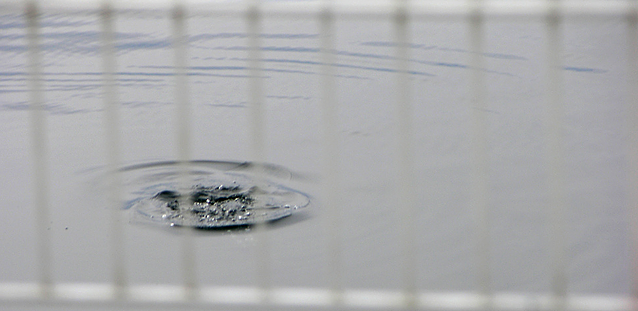 En ring i vann, bak et gjerde - etter at en fugl har dykket.