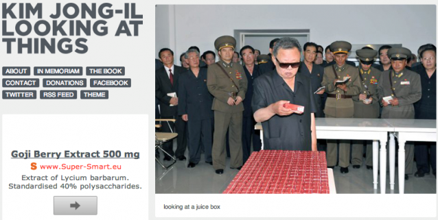 Skjermskudd fra Kim Jong-Il is Looking At Things