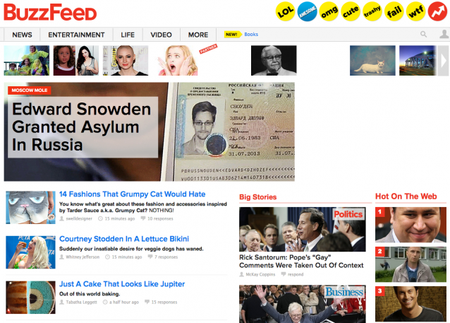 Litt Snowden, litt salat-bikini, litt grumpy cat. Veldig BuzzFeed.com.