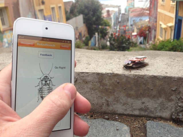 En kakerlakk med RoboRoach-sekken styres mot høyre via mobiltelefon. Foto: Backyard Brains