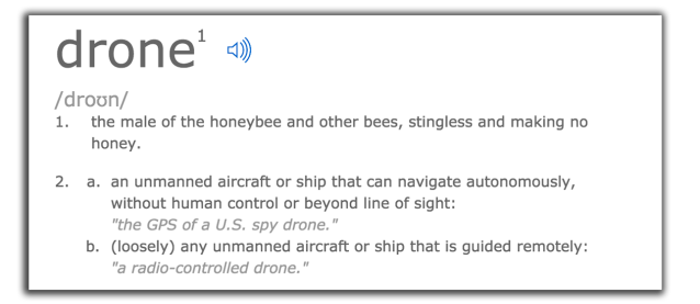 Definisjonen av ordet drone