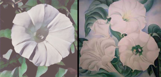 Et maleri av en blomst og et app-modifisert foto av en blomst