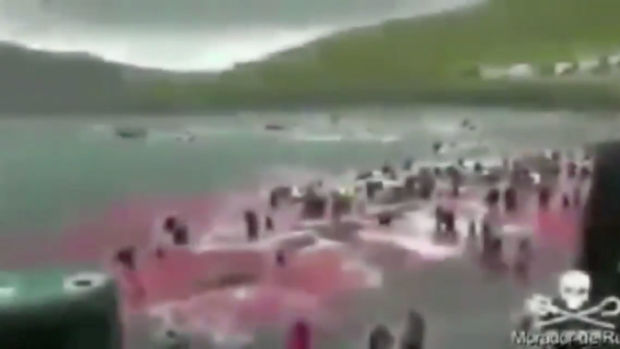 Svært dårlig oppløst bilde, hvor mange mennesker står på en strand hvor havet er farget rødt. En søppelkasse kan skimtes til venstre i bildet, samt en  logo med dødningehode over en Trefork
