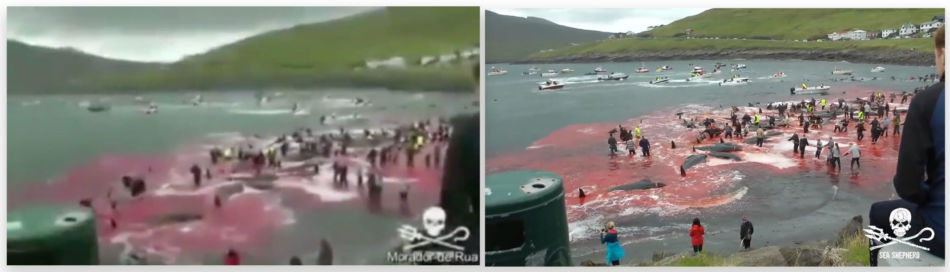 To bilder i en montasje. Som bildet over er det mange mennesker som står på en strand hvor havet er farget rødt av blod. Bildet til venstre har svært lav oppløsning. Bildet til høyre har høy oppløsning og tydelige detaljer som gjør det mulig å skjeldne mennesker og en søppelkasse i bildet.