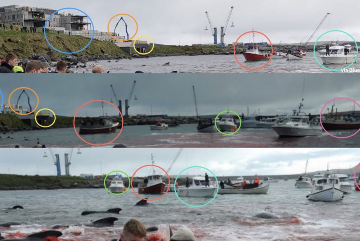 Tre bildeutsnitt over hverandre. Bilder fra en havn full av båter. Fargede ringer viser de samme fartøyenes posisjon i de ulike bildene. Også en mobil sementkran kan sees i bakgrunnen.