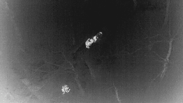 Et sort bilde viser lysende figurer som beveger seg i terrenget.